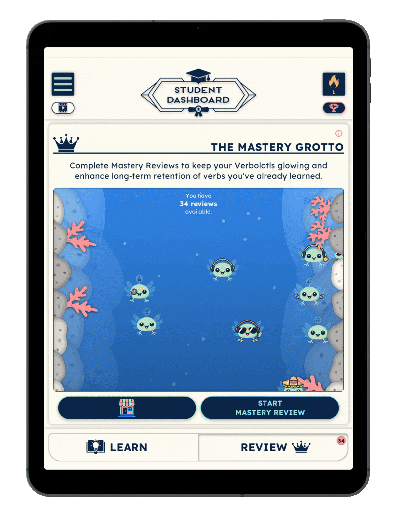 VerbMaster app in action